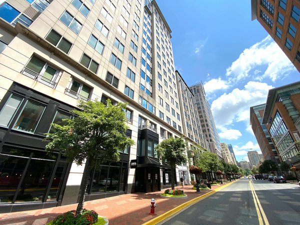 Exploration fascinante de la richesse et de la diversité des céramiques décoratives à travers le monde