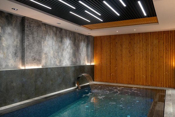 Comment choisir les meilleures plantes pour purifier l'air de votre maison ?